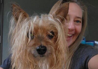 pet Yorkshire terrier