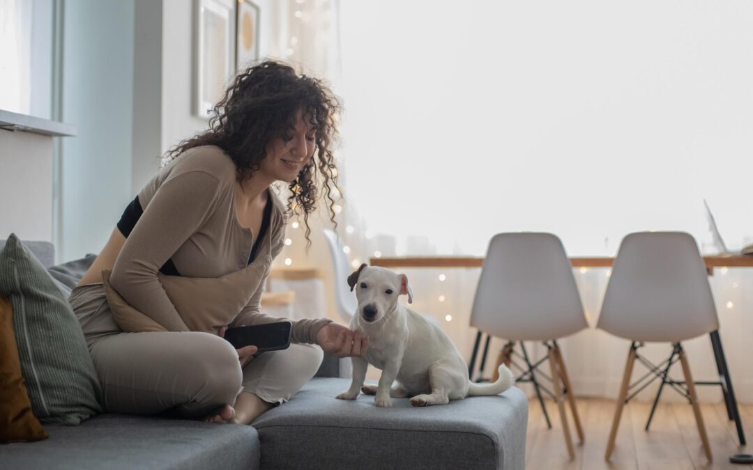 In-Home Pet Sitting: Creating a Cozy Haven for Your Furry Friends