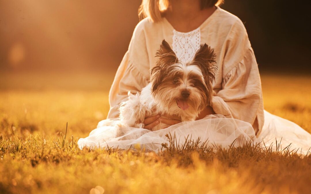 Building Trust Through Personalized In-home Dog Care Tallahassee