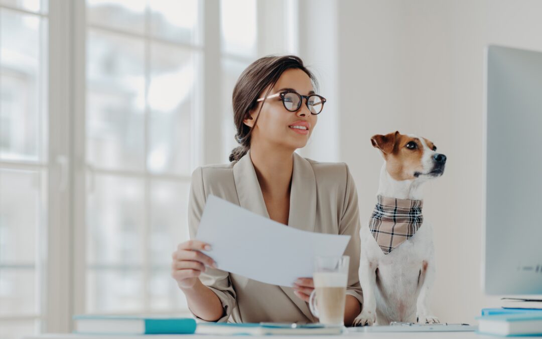 Trusted Pet Sitters in Tallahassee Techniques