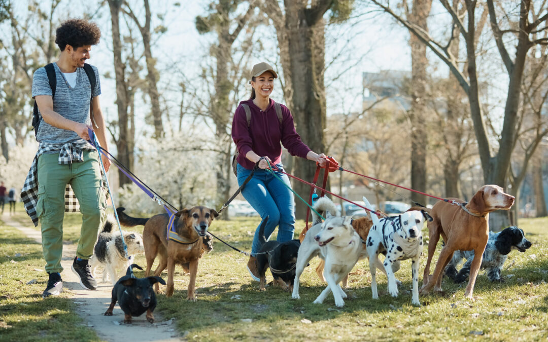 Flexible Dog Walking: Overnight Pet Care Tallahassee