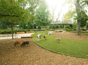 Petsitting in Tallahassee