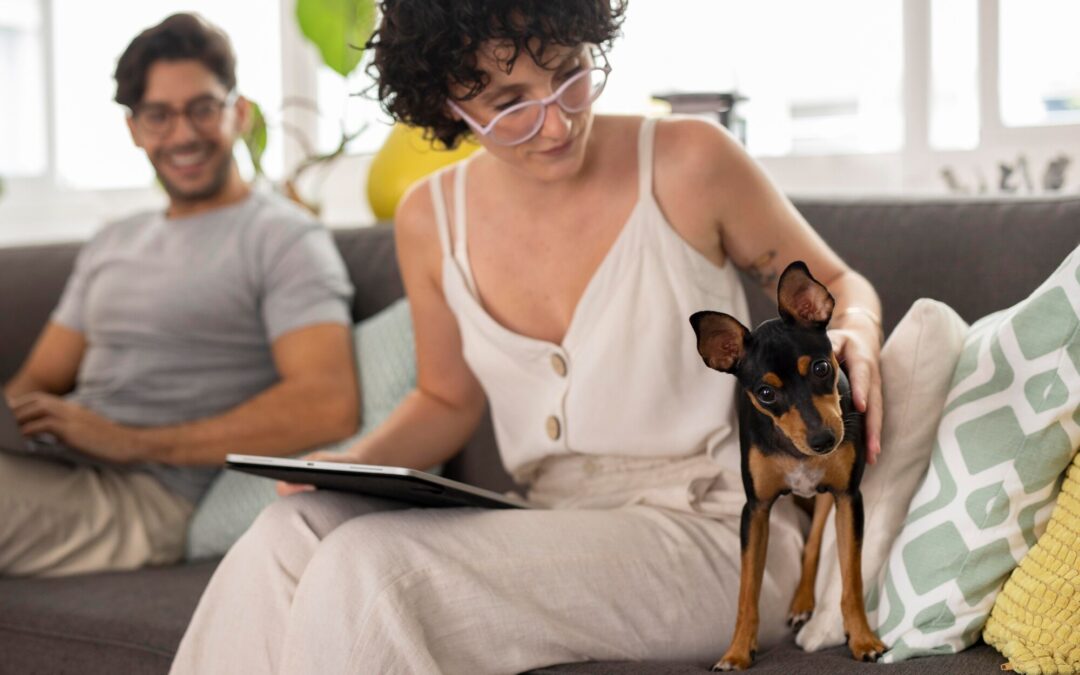 Tallahassee Pet Sitting Prices for Busy Pet Owners